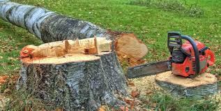 Best Tree Cabling and Bracing  in Drum Point, MD