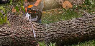 Best Aeration Services  in Drum Point, MD