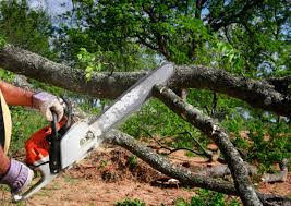 Best Seasonal Cleanup (Spring/Fall)  in Drum Point, MD
